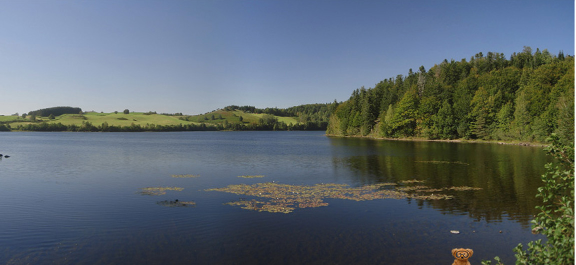 Lac de la Crégut (15)